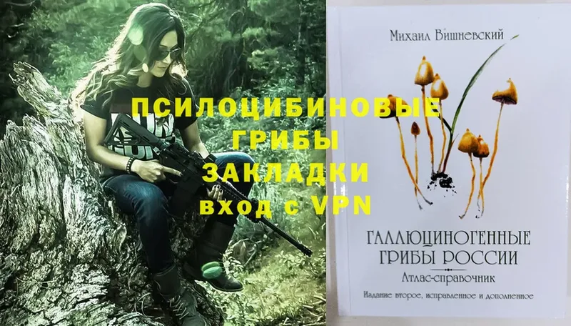 Галлюциногенные грибы GOLDEN TEACHER  ссылка на мегу как зайти  Райчихинск 